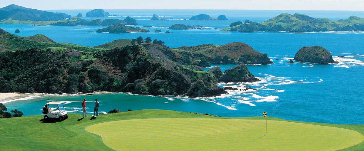 Hospitality and Accommodation Businesses New Zealand